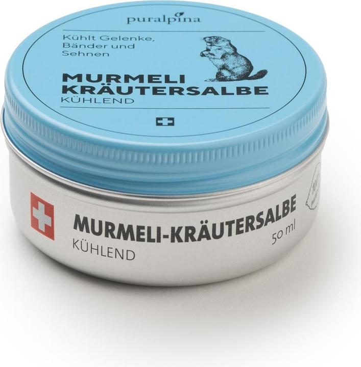 Valori nutrizionali e ingredienti Puralpina Murmeli unguento alle erbe rinfrescante (1 x, 50 ml, 70 g)