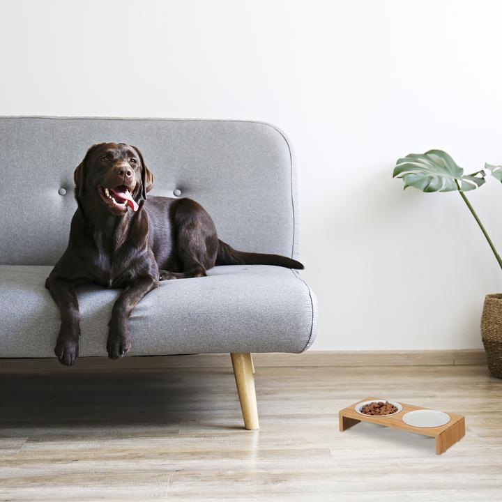 Actual product image Relaxdays Dog food station (0.27 l)