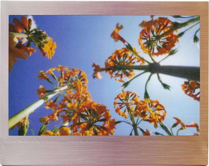 Actual product image Fujifilm Instax Wide 10 Blatt Brushed Metallics (Instax Wide 300, Instax Wide 400)