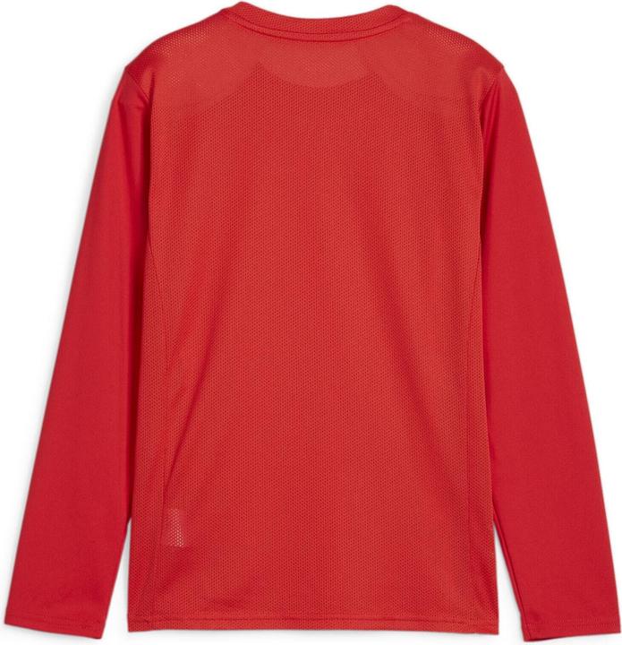 Actual product image Puma teamGOAL LS Jersey Jr (164)