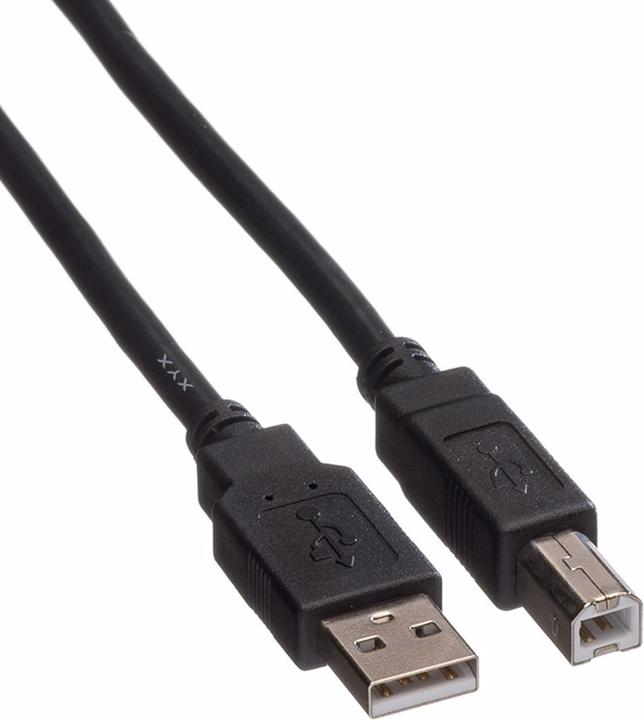 Image du produit Roline Câble USB 2.0 (4.50 m, USB 2.0)