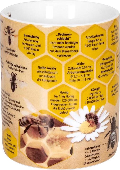 Actual product image Könitz Coffee Mug Knowledge Bee 490 ml, 1 piece, Multicolor (490 ml, 1 x)