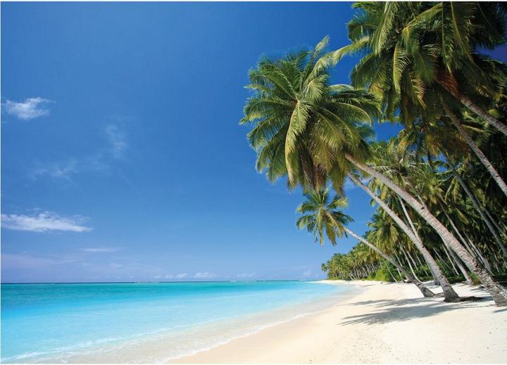 Immagine prodotto Trenddeko Paradiso della spiaggia (240 x 260 cm)