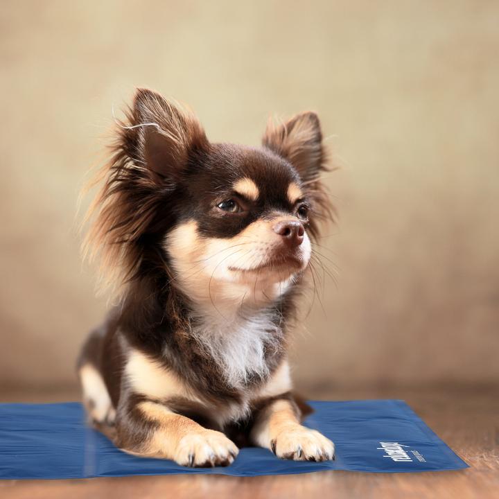 Immagine prodotto Relaxdays Tappeto di raffreddamento (Cane, Gatto)