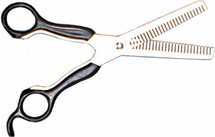 Actual product image Tattini Scissors to remove mane and tail
