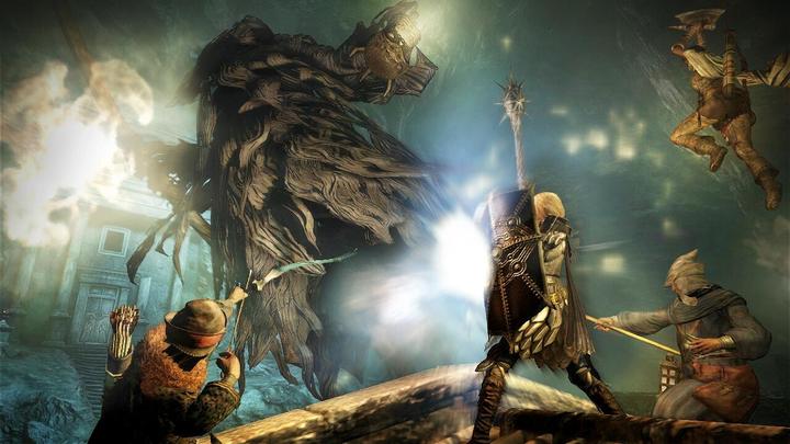 Actual product image Capcom Dragon's Dogma: Dark Arisen -US- (Switch, Switch Lite, Switch OLED, EN)