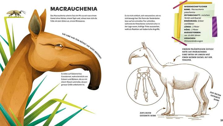 Produktbild National Geographic Besonders und wunderbar: Ausgestorbene Tiere (Deutsch, Cristina Banfi, 2021)
