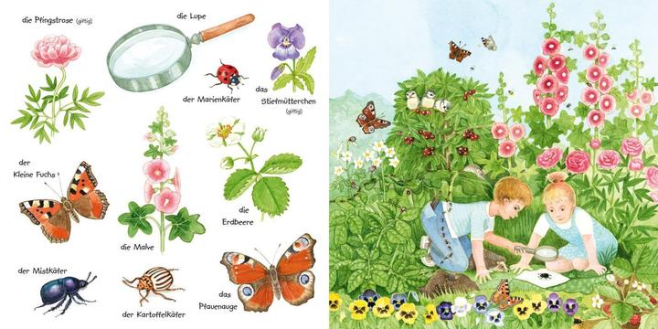 Image du produit Mon petit dictionnaire illustré coloré : les animaux rampants et les fleurs (Allemand)