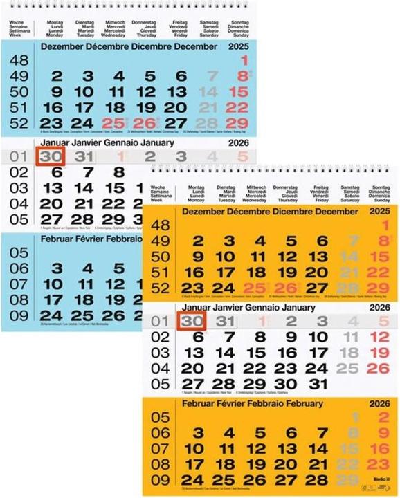 Biella Calendari con visualizzazione di 3 mesi (31 x 40 cm, Nessuna rilegatura)