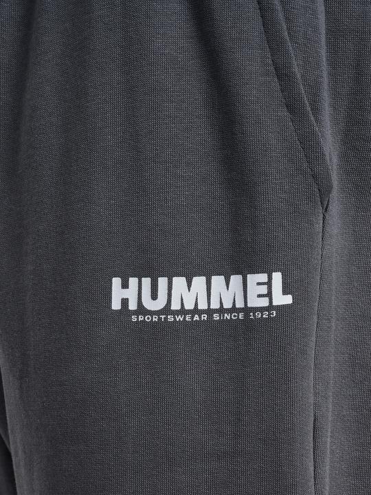 Image du produit hummel Hmllegacy Regular Pants Plus (XXL)