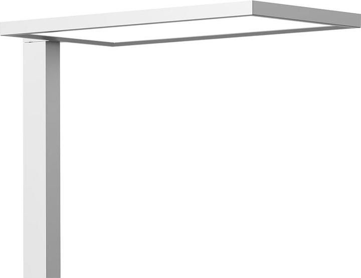 Image du produit Contini Prolux (7500 lm)