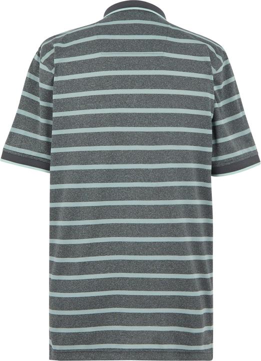 Actual product image Regatta Mens Kildra Polo Shirt (M)