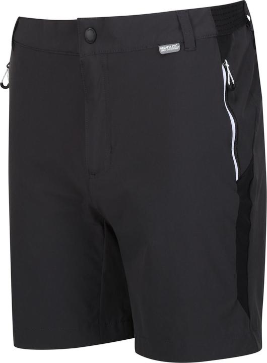 Actual product image Regatta Mens Mountain II Shorts (54 D)