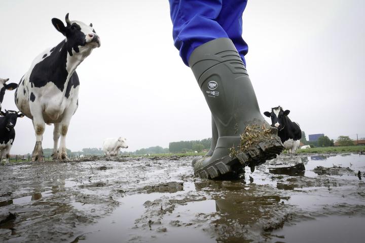 Produktbild Kerbl Sicherheitsstiefel S5 Bekina Steplite XCI Winter (S5, 37)