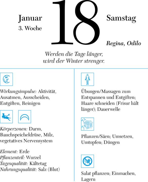 Actual product image The right time 2025 - daily tear-off calendar to put up or hang up (12 x 17 cm, German)