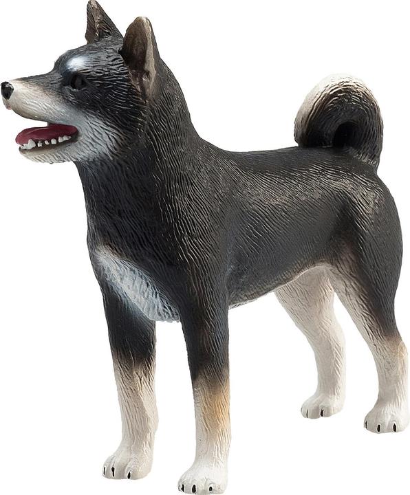 Image du produit Animal Planet Shiba Inu