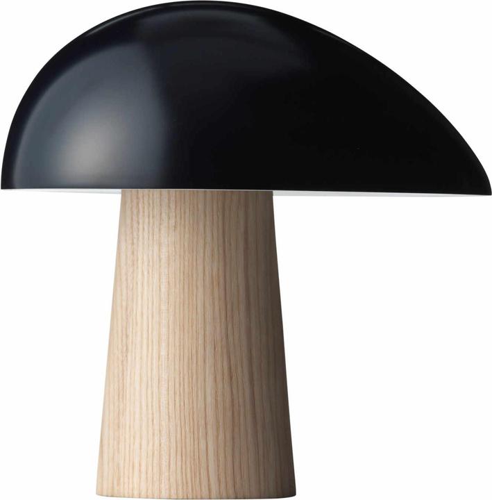 Ash, Midnight Blue