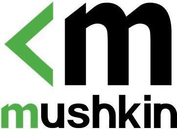 Actual product image Mushkin Element (4000 GB, 2.5")