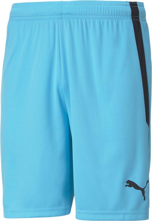 Actual product image Puma teamLIGA Shorts-704924 (XXL)