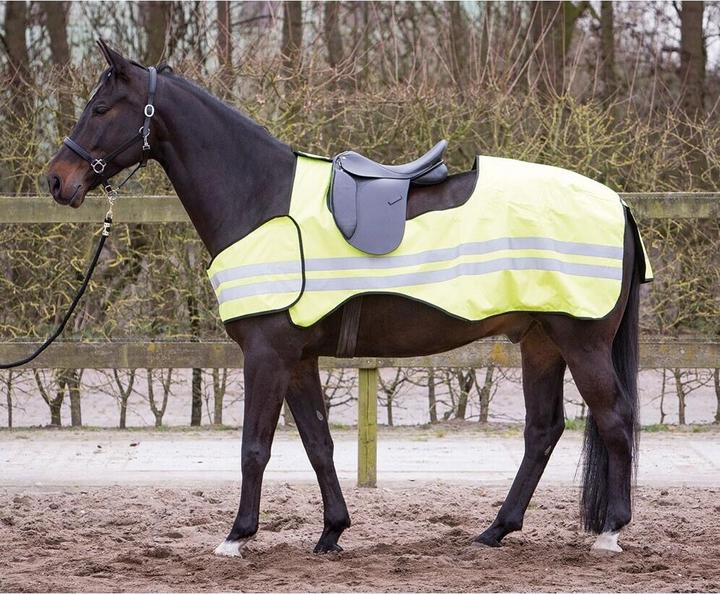 Harry's Horse Reflektierende Decke