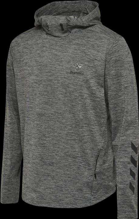 Actual product image hummel Aston Hoodie (S)