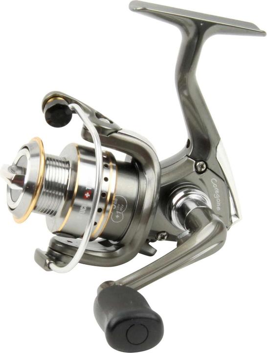 Immagine prodotto Stucki Fishing Coregone (500)