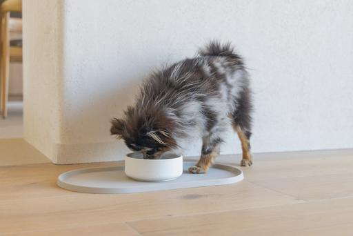 Image du produit Designed by Lotte Gamelle pour chien Lojs (0.43 l)