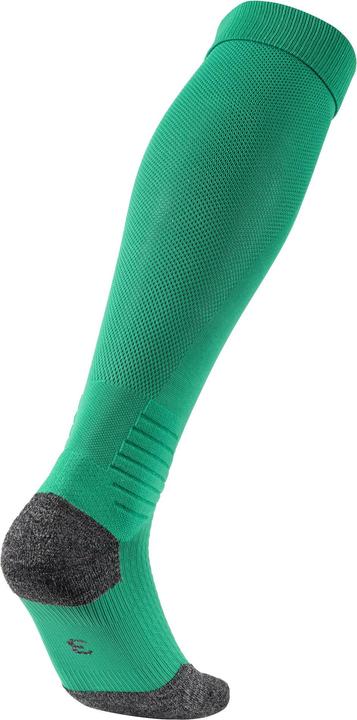 Actual product image Puma Team LIGA Socks-703438 (39, 42)