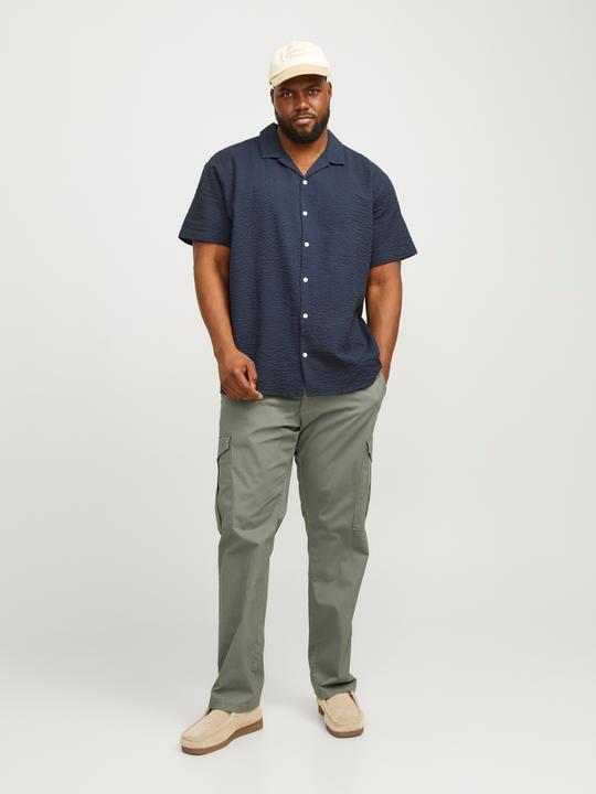 Image du produit Jack & Jones Jpstace Jjsummer Cargo Pls (W42/L32)