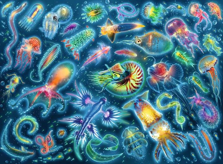 Image du produit Ravensburger Espèces sous-marines colorées (500 pièces)