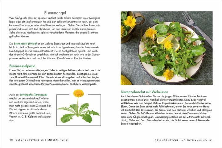 Produktbild Kräuter und Heilpflanzen für Frauen: Tees, Tinkturen und Salben aus der Naturmedizin selbst (Deutsch, Larena Lambert, 2021)