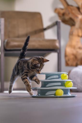 Immagine prodotto Beeztees Bo (Catmint giocattolo)