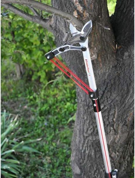 Immagine prodotto Castellari Cesoie per rami con albero telescopico da 6 m