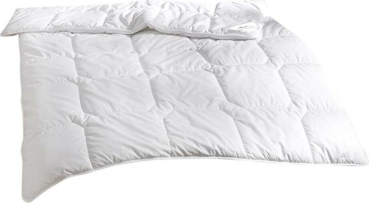 Actual product image Traumschlaf Thinsulate warm (1100 g, 135x200 cm)