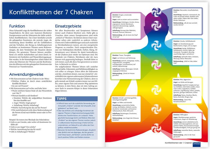Image du produit Praxisbuch Neue Homöopathie. Band 2 (Allemand, Roswitha Stark, Christina Baumann, 2024)