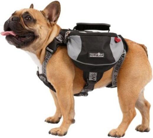 Actual product image Trespass SNOOPER - Dog backpack harness (S, Dog)