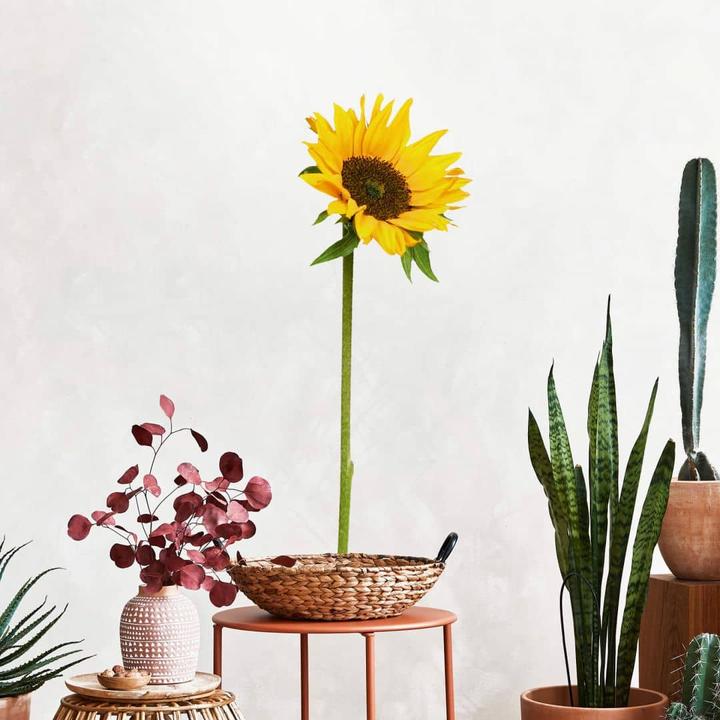 Actual product image Trenddeko Sunflower single (15 x 43 cm, 25 x 72 cm, 20 x 58 cm)