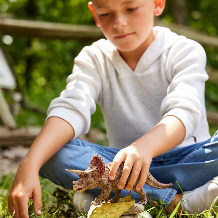 Image du produit Schleich Triceratops