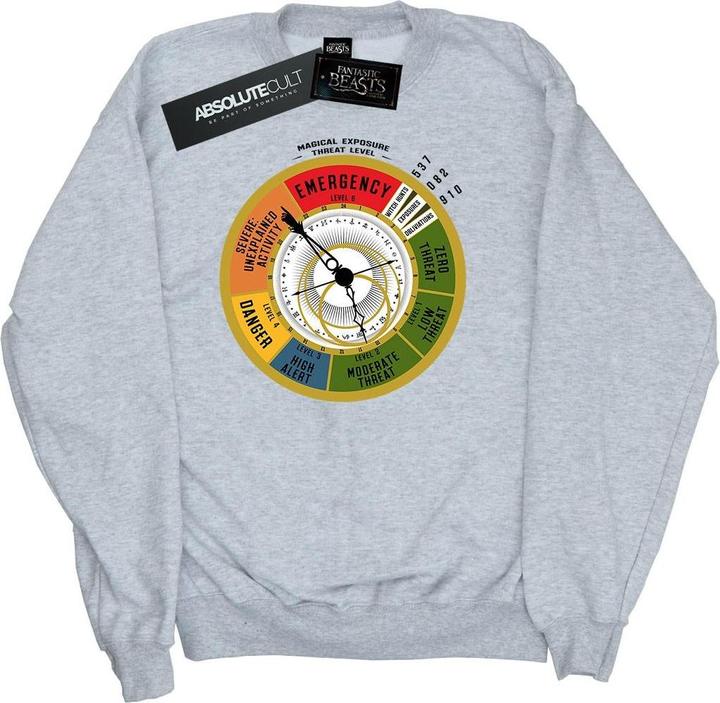 Actual product image Fantastic Beasts Boys Threat Level Sweatshirt (140, 146)