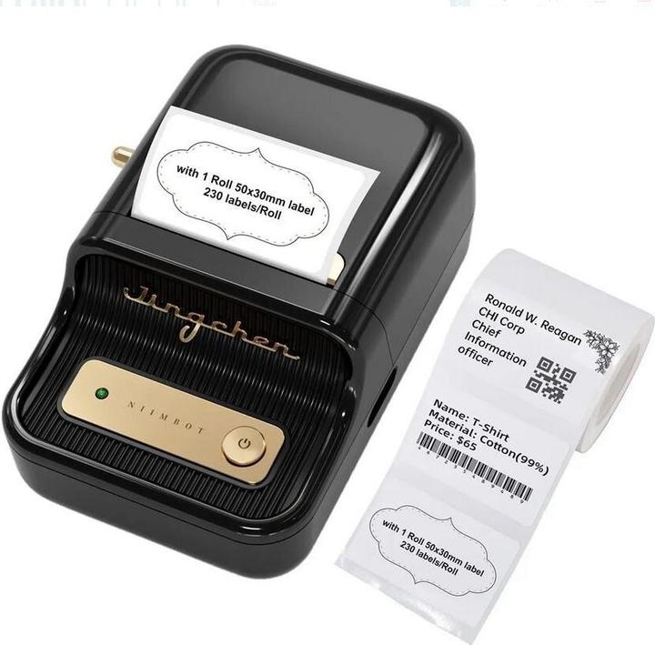 Image du produit Niimbot B21 (203 dpi)