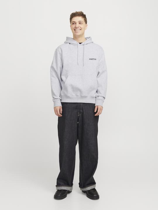 Immagine prodotto Jack & Jones Jcounion Print Sweat Hood Noos (L)