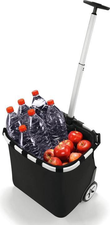 Actual product image reisenthel Carrycruiser