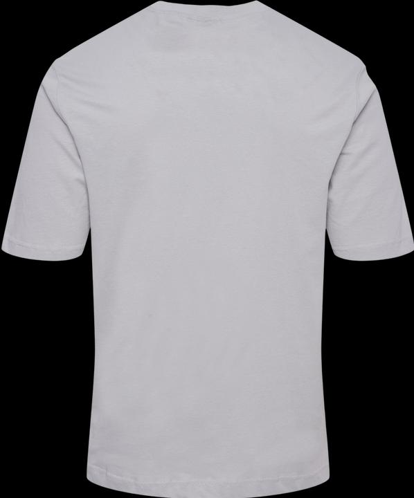 Image du produit hummel Lgc Charles T-Shirt (L)