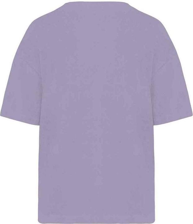 Actual product image Native Spirit Womens/Ladies Terrycloth T-Shirt (L)