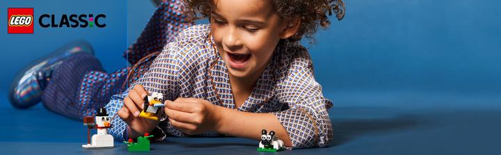 Actual product image LEGO Creative Building Set with White Stones (11012, LEGO Classic)