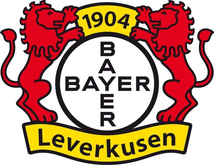 Produktbild Bayer 04 Leverkusen Logo (60 x 76 cm)