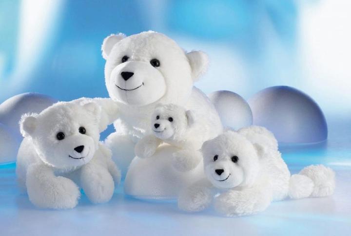 Image du produit Schaffer Ours polaire Knut Cuddle (26 cm)