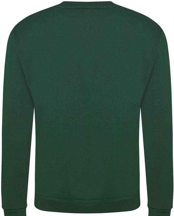 Actual product image Prortx Unisex Adult Pro Sweatshirt (M)