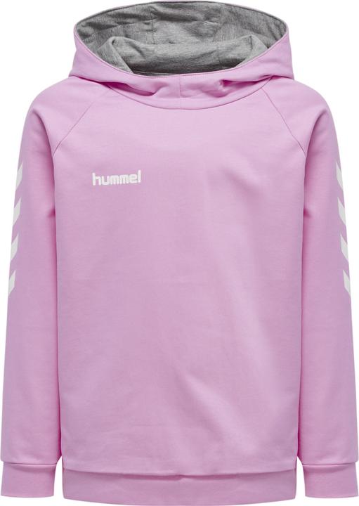 Image du produit hummel Go Kids Hoodie En Coton (176)