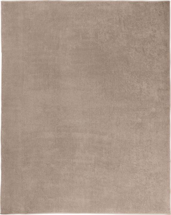 Immagine prodotto Erwin Müller Coperta per l'asciugamano